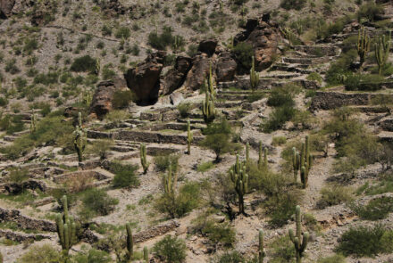 Ruinas de los Indios Quilmes